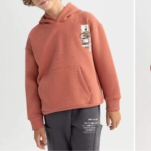 Zara Kids Rust Hoodie with Graphic Detail